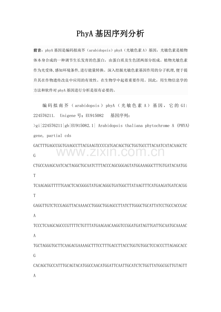 PhyA基因序列分析-生物信息学论文.docx_第1页