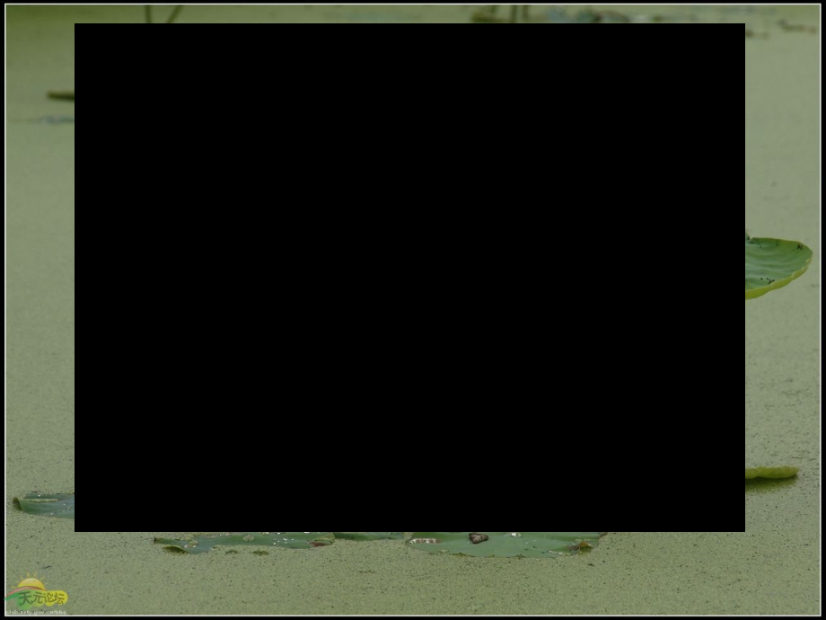 思品七年级上册第四单元合理竞争公开课课件最后定稿.ppt_第2页