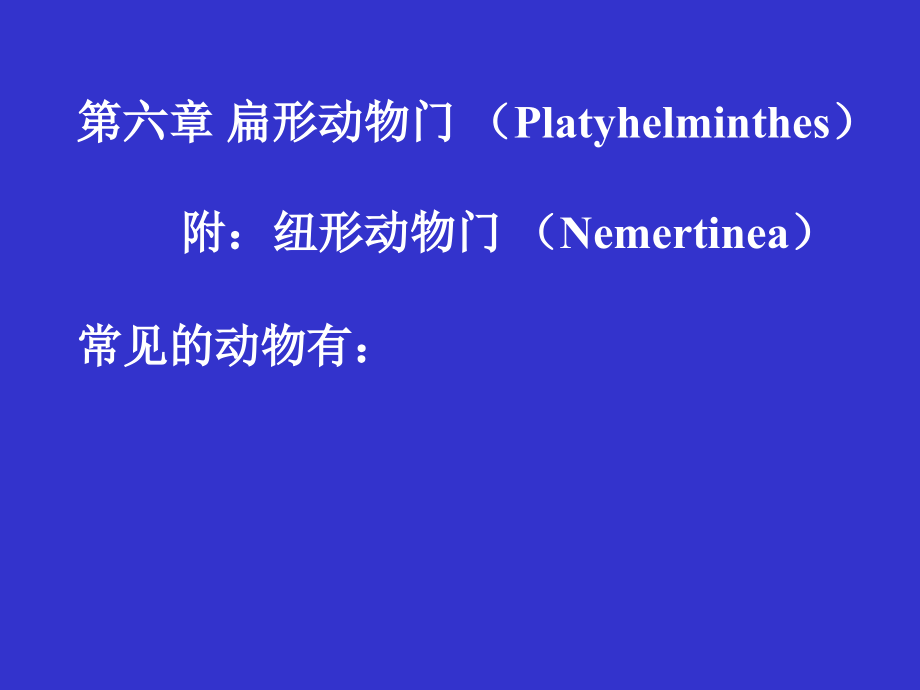 生物竞赛讲座之扁形动物门.ppt_第1页