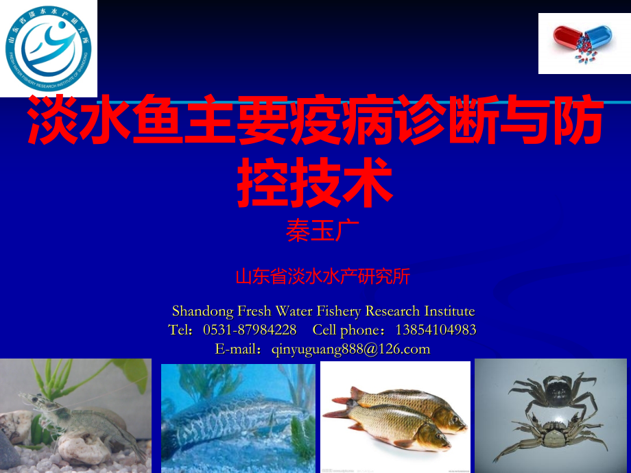 淡水鱼类主要疫病诊断与防控技术 -.ppt_第1页