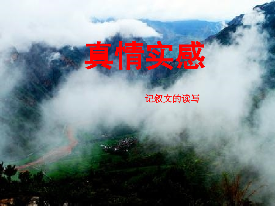 真情实感.ppt_第1页