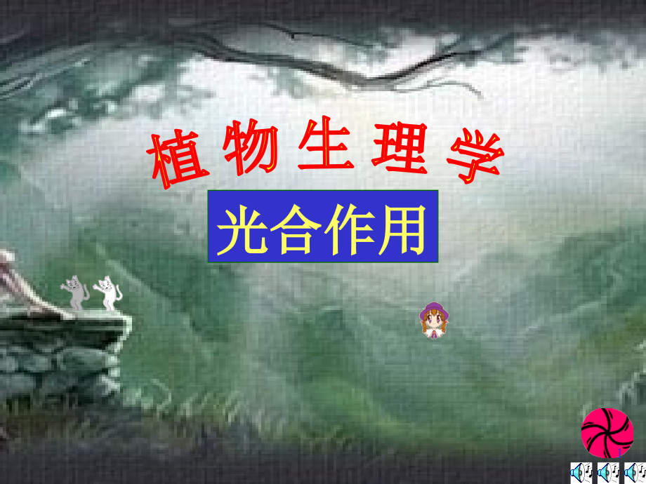 生物奥赛之光合作用..ppt_第1页