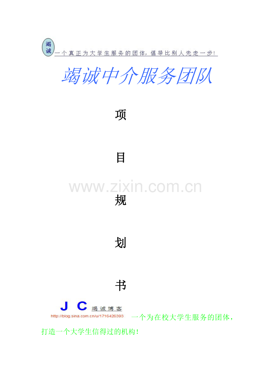 第三方服务项目规划书.docx_第1页