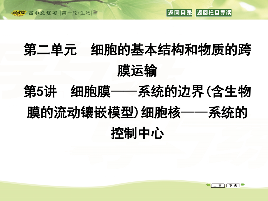 2016届《导与练》一轮复习高效信息化课堂 第5讲 细胞膜——系统的边界(含生物膜)细胞核——系统的控制中心.ppt_第1页