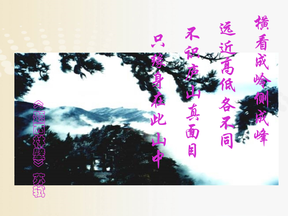 从不同方向看物体形状.ppt_第2页
