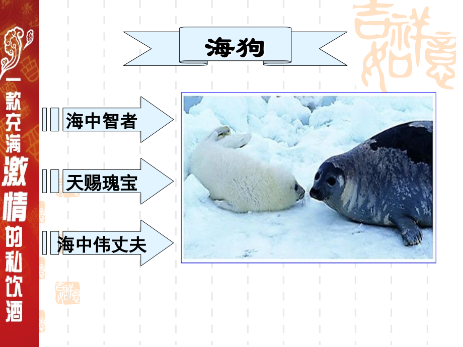 海狗鞭特补酒讲义.ppt_第2页