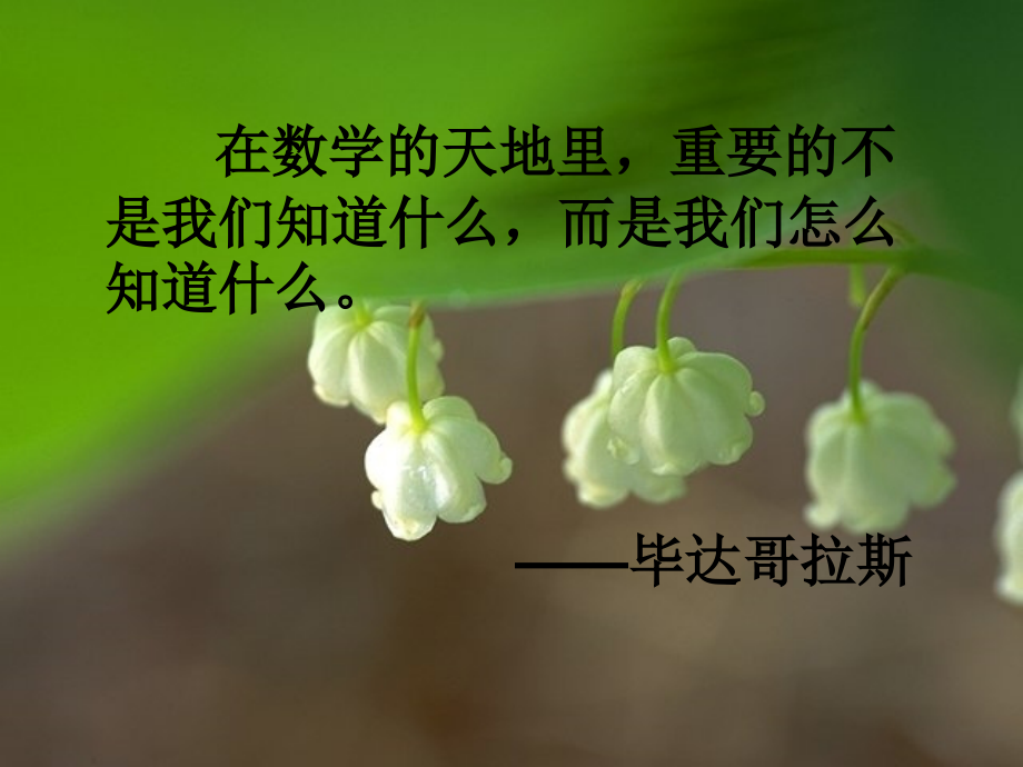 《正数与负数》.pptx_第2页