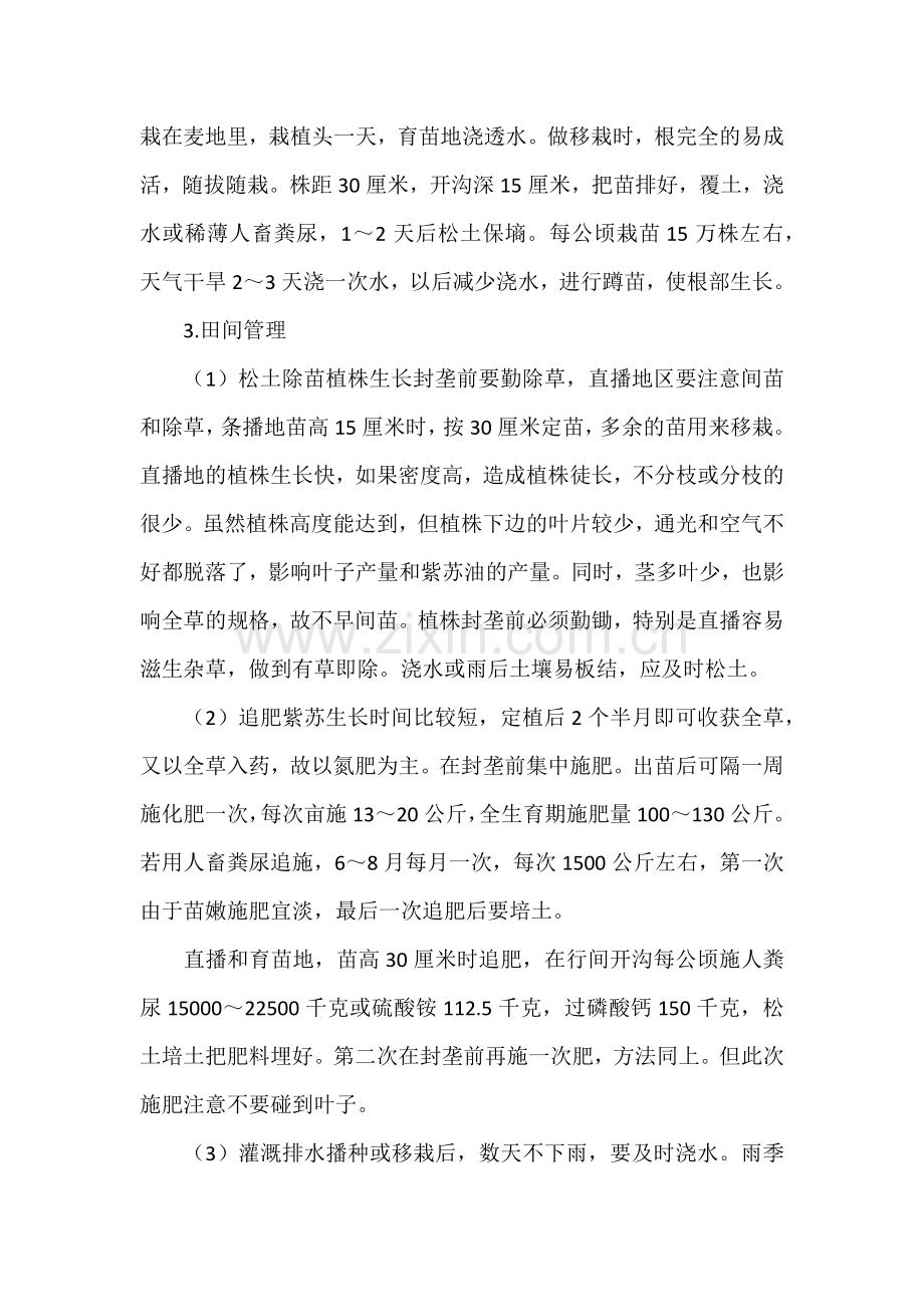 紫苏的科学种植.docx_第2页