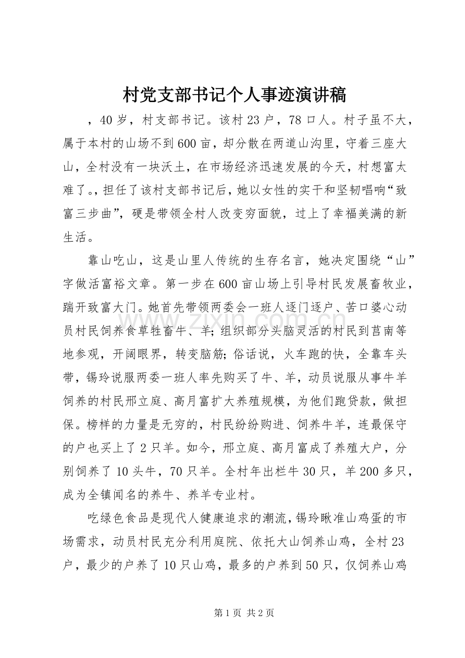村党支部书记个人事迹演讲稿范文.docx_第1页