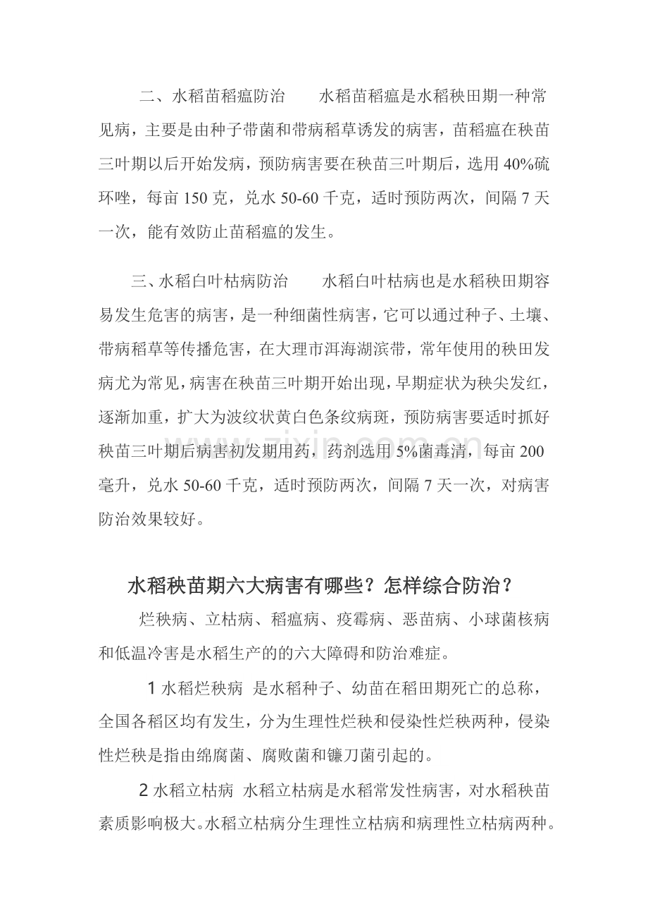 水稻秧苗期几种常见病害防治技术.docx_第2页