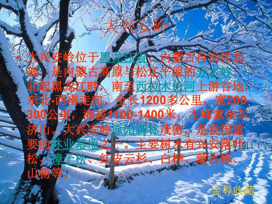 家乡介绍-大兴安岭.ppt_第2页