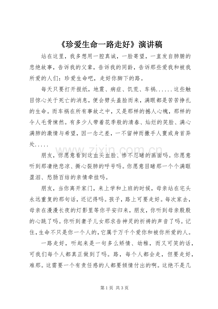 《珍爱生命一路走好》演讲致辞稿范文.docx_第1页