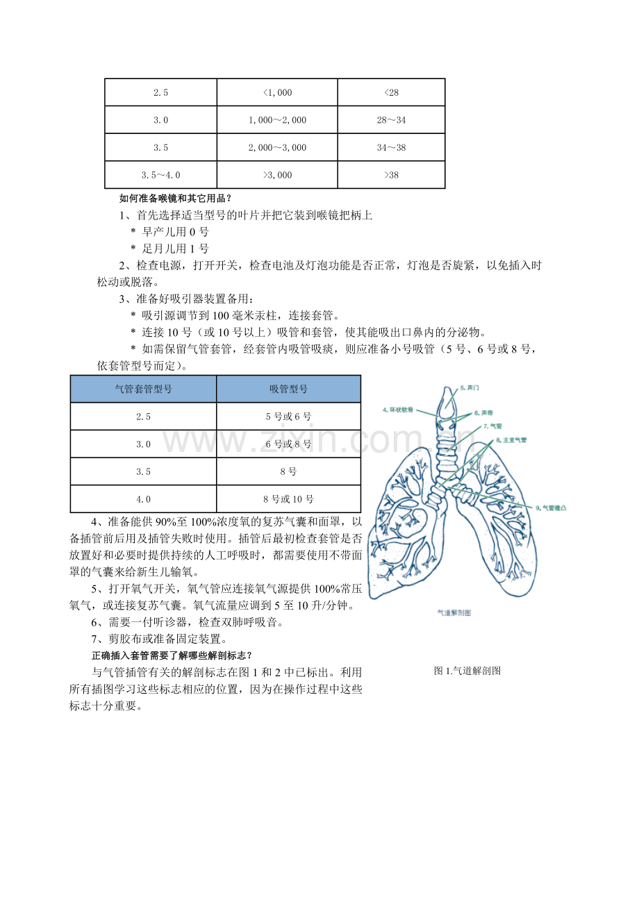 新生儿抢救规范及流程.doc_第2页