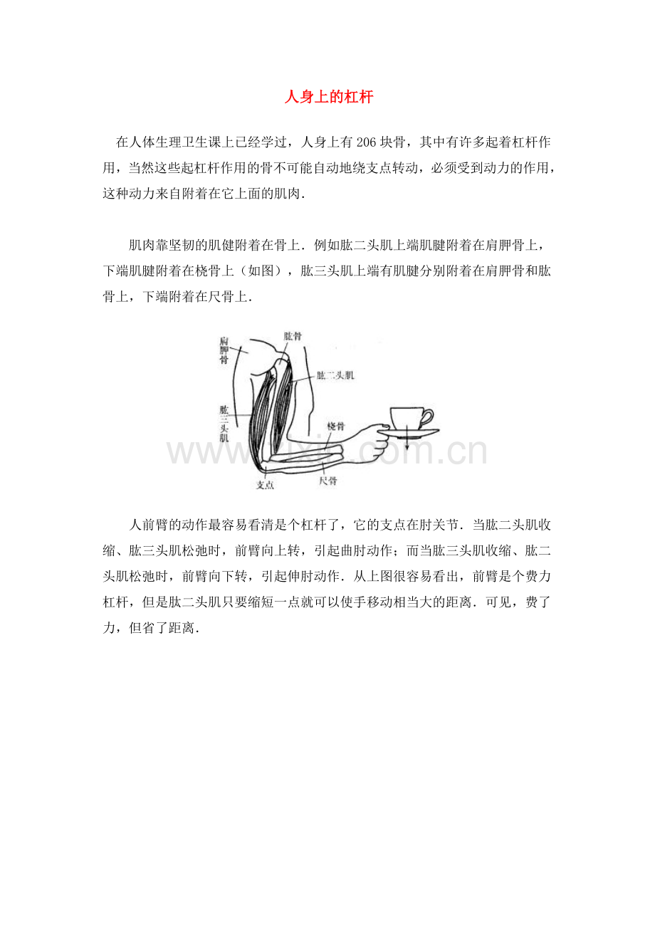 人身上的杠杆.doc_第1页