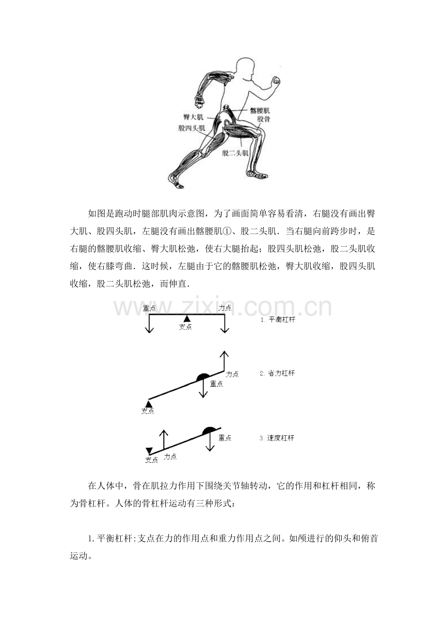 人身上的杠杆.doc_第2页