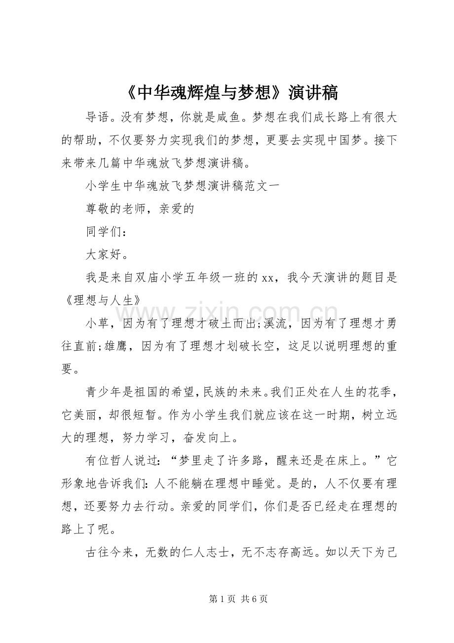 《中华魂辉煌与梦想》致辞演讲稿.docx_第1页