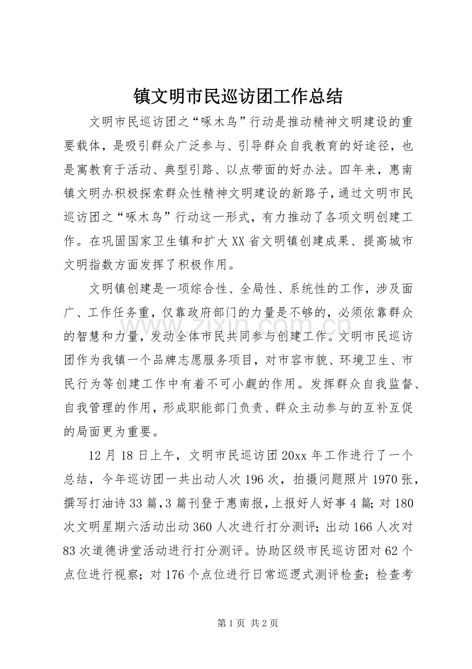 镇文明市民巡访团工作总结.docx_第1页
