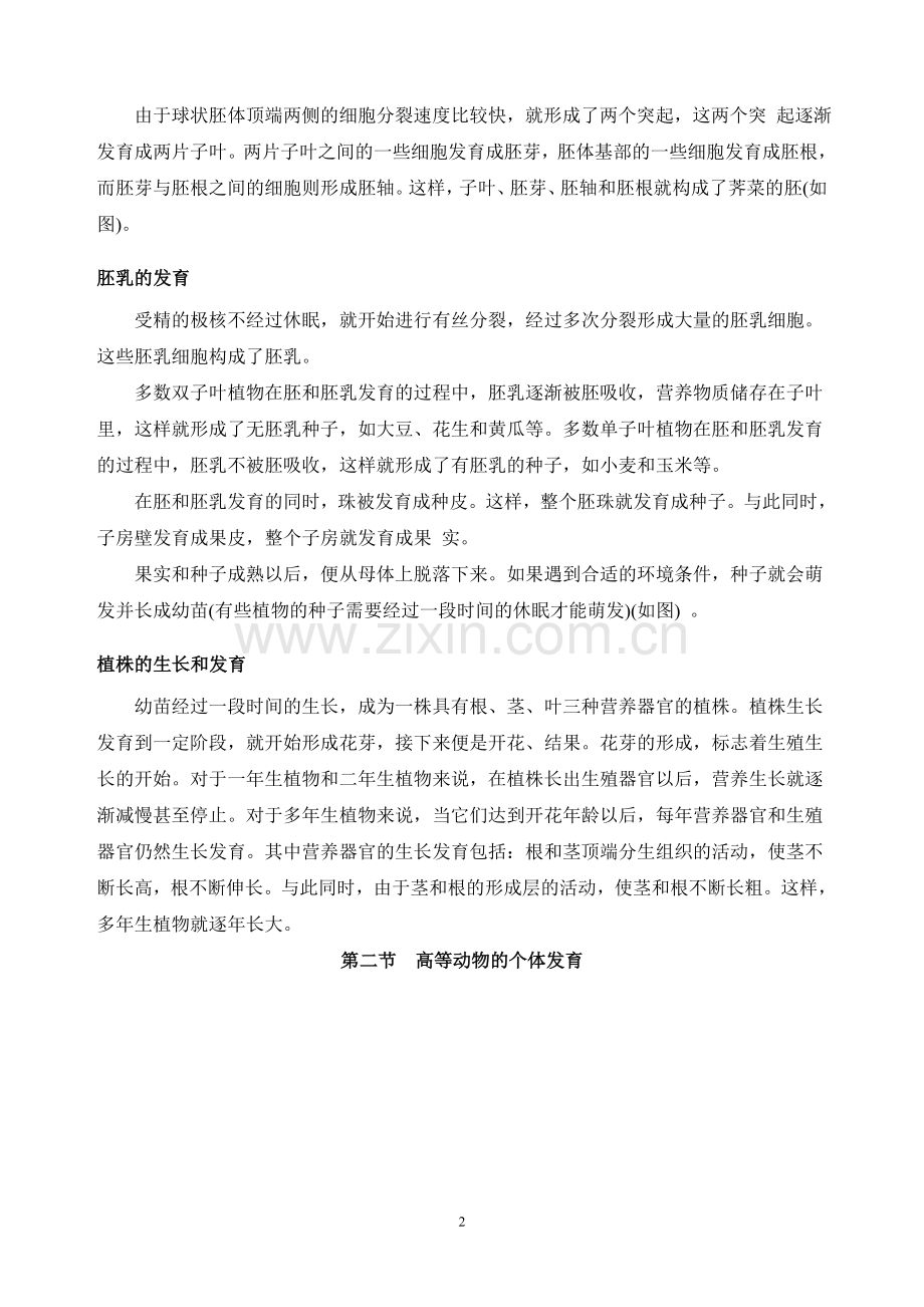 生物个体发育.doc_第2页