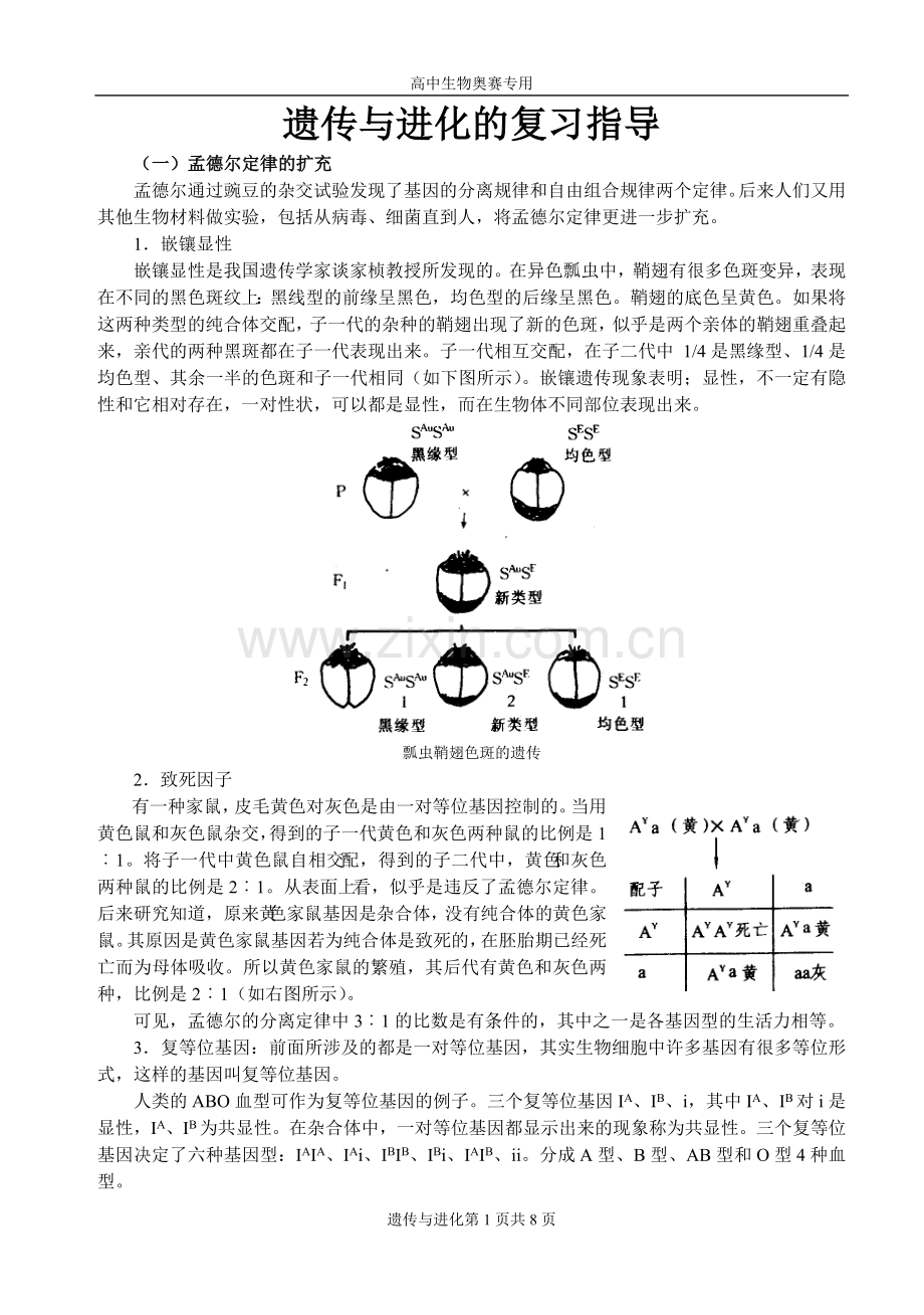 遗传与进化的复习指导.doc_第1页