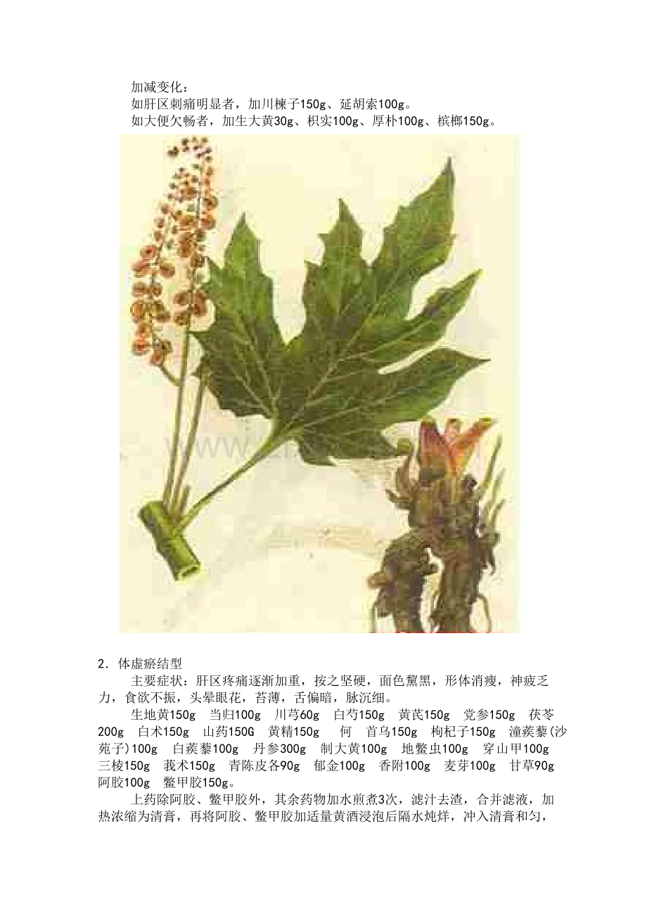 常用的膏方选用—— 肝硬化.doc_第2页