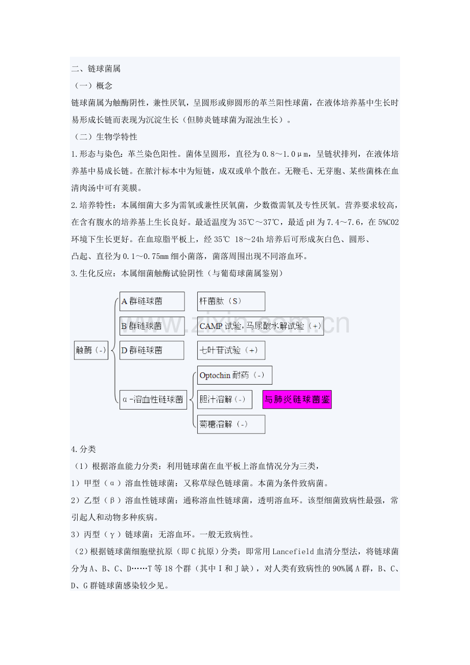 病原性球菌及检验.doc_第1页