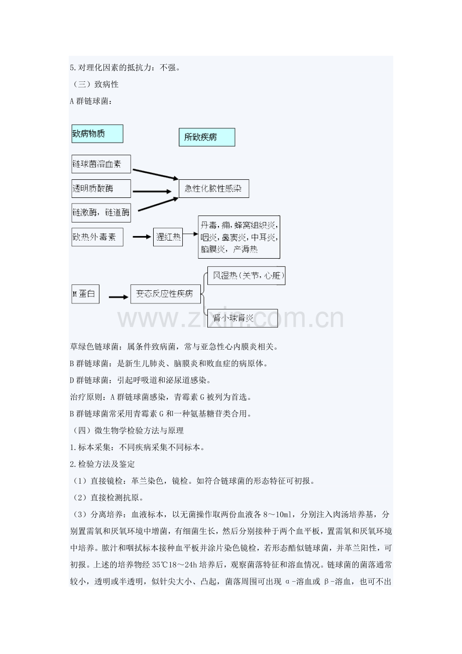 病原性球菌及检验.doc_第2页
