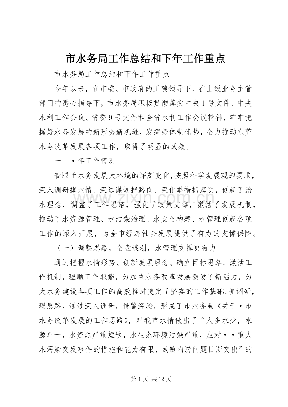 市水务局工作总结和下年工作重点.docx_第1页