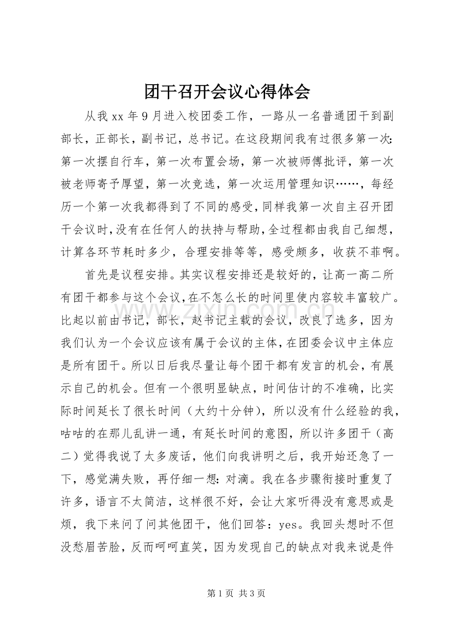 团干召开会议心得体会.docx_第1页