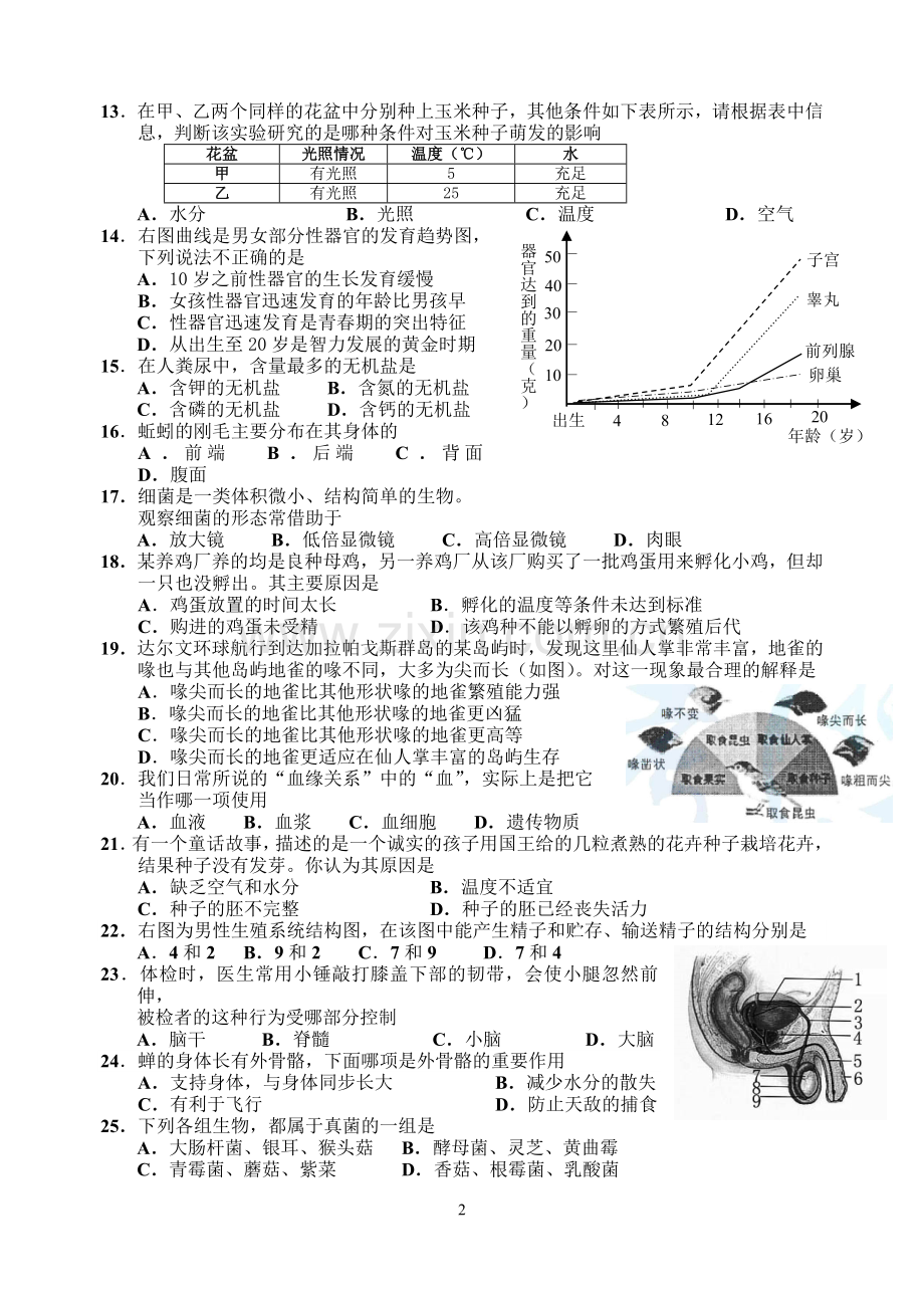 人教版生物中考模拟题(四).doc_第2页