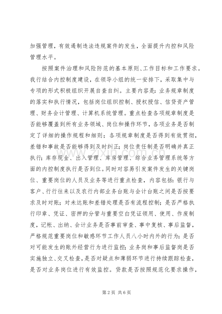 农行支行案件专项治理工作总结_1.docx_第2页