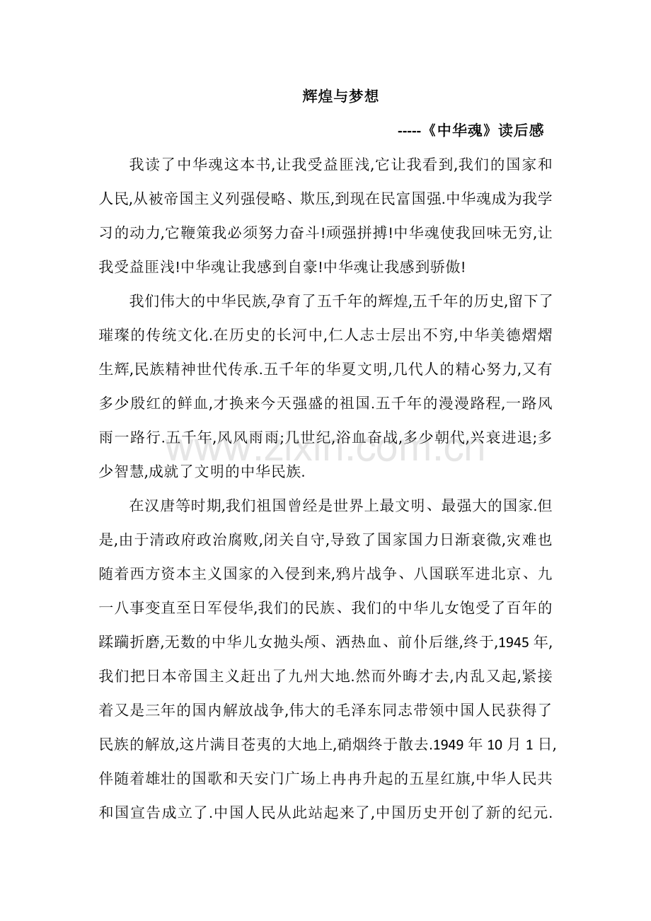 辉煌与梦想----《中华魂》读后感4.doc_第1页