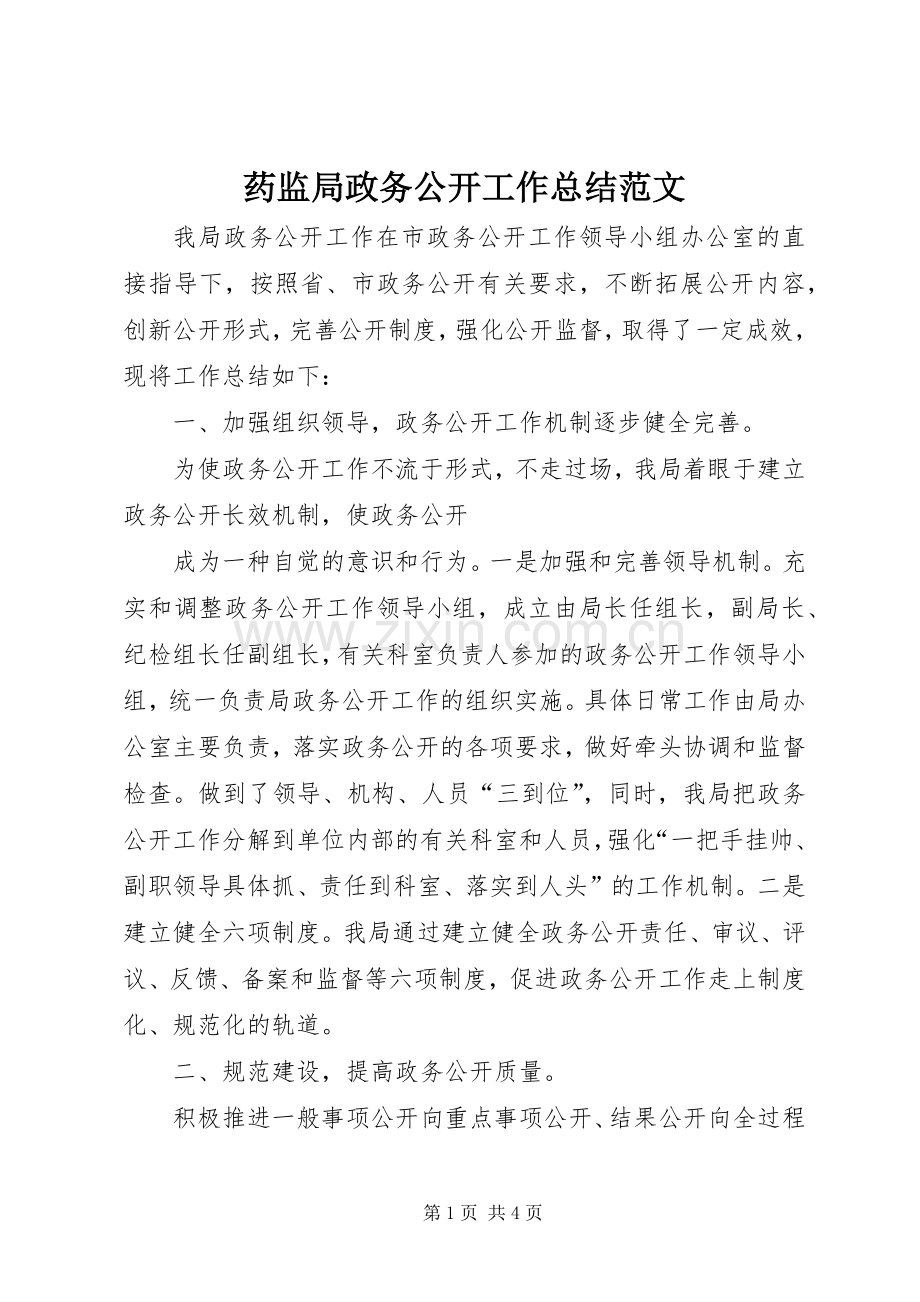 药监局政务公开工作总结范文.docx_第1页
