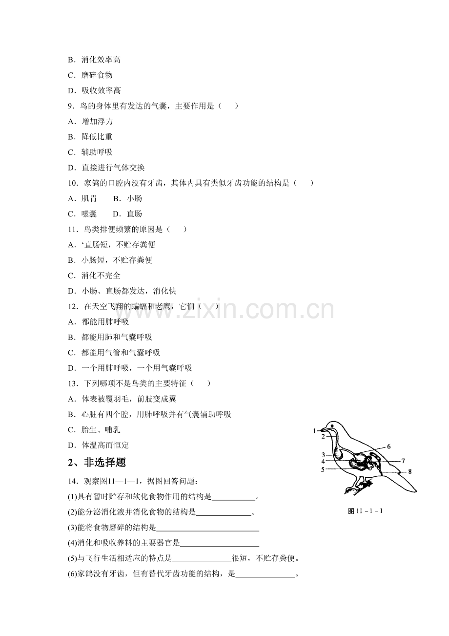 《第1节-鸟类》同步练习1.doc_第2页