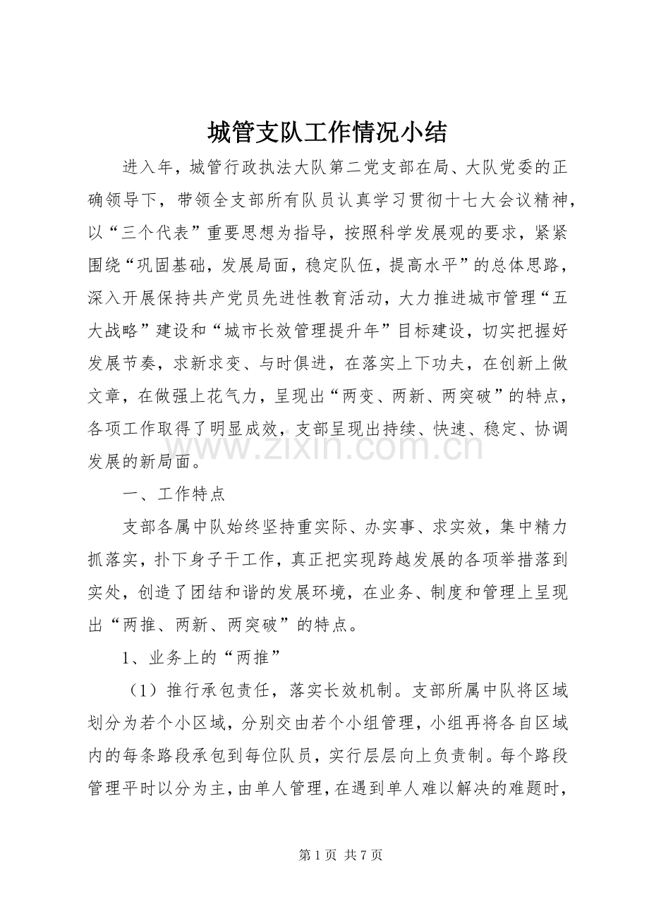 城管支队工作情况小结.docx_第1页