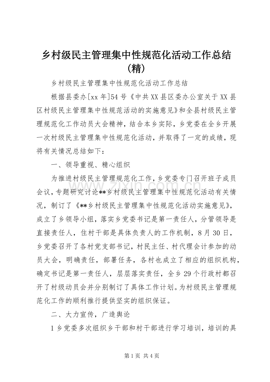 乡村级民主管理集中性规范化活动工作总结.docx_第1页