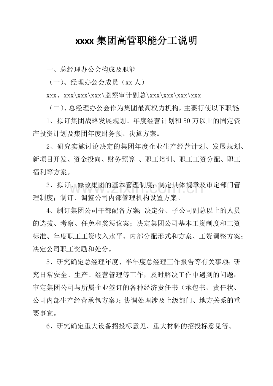 集团高管职能分工说明1.docx_第1页