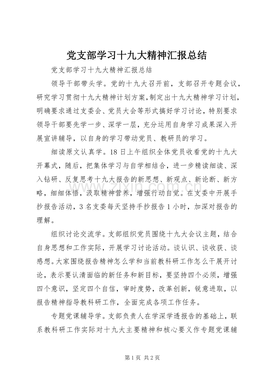 党支部学习十九大精神汇报总结.docx_第1页