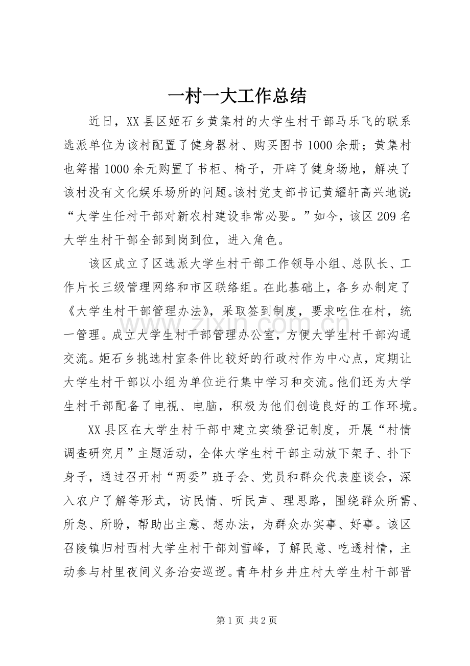 一村一大工作总结.docx_第1页