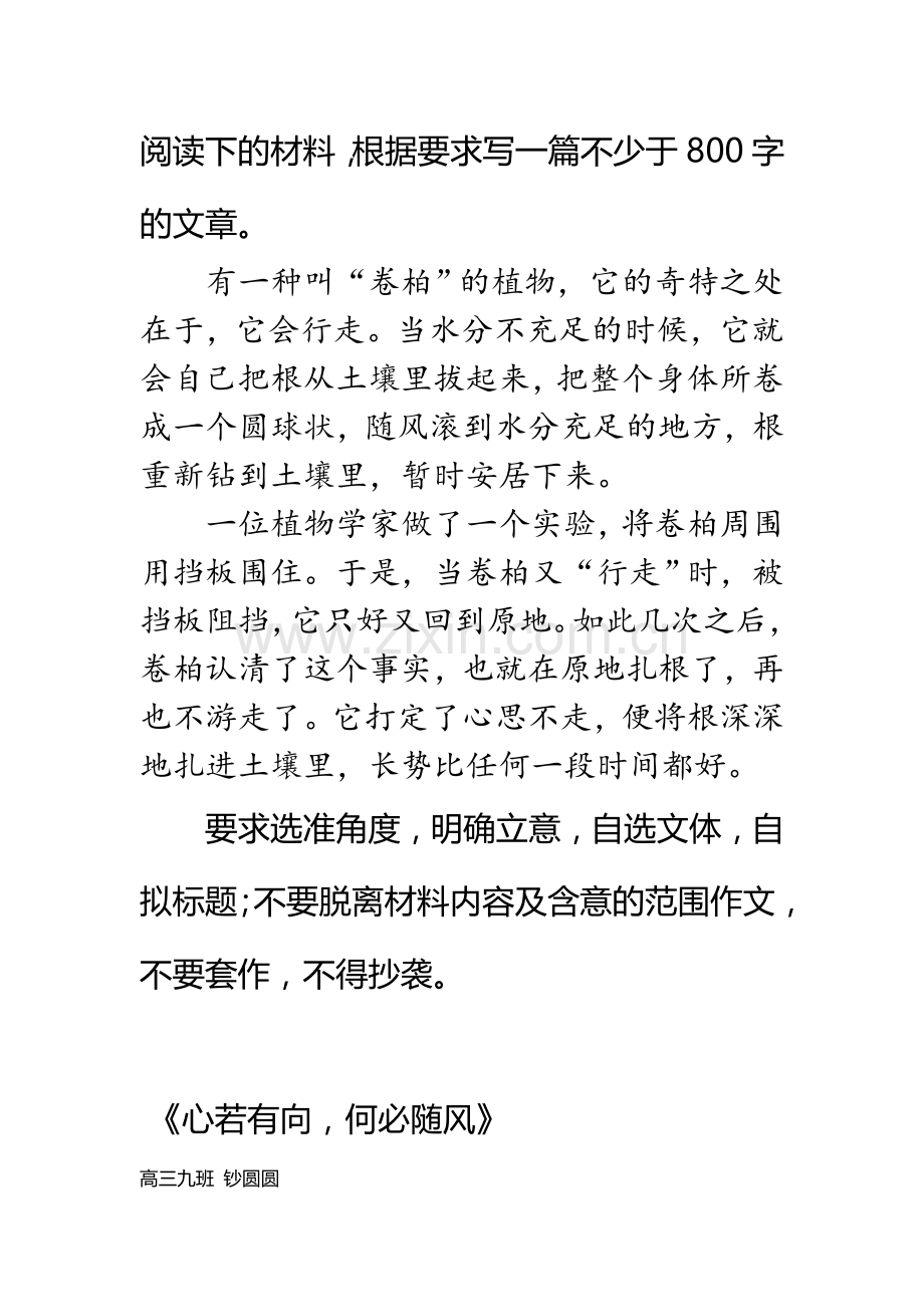 作文：一种叫卷柏的植物.doc_第1页