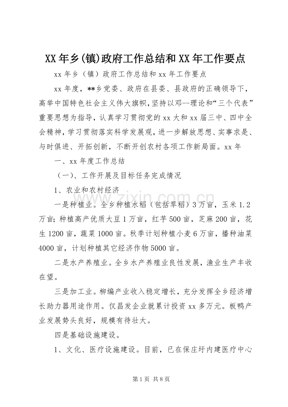 XX年乡(镇)政府工作总结和XX年工作要点 .docx_第1页