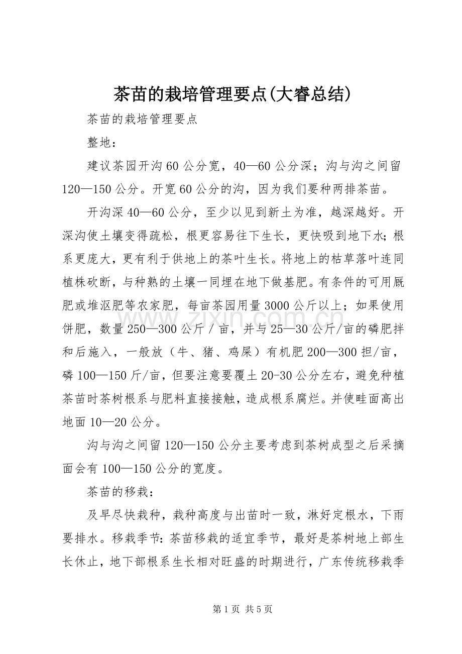 茶苗的栽培管理要点(大睿总结).docx_第1页