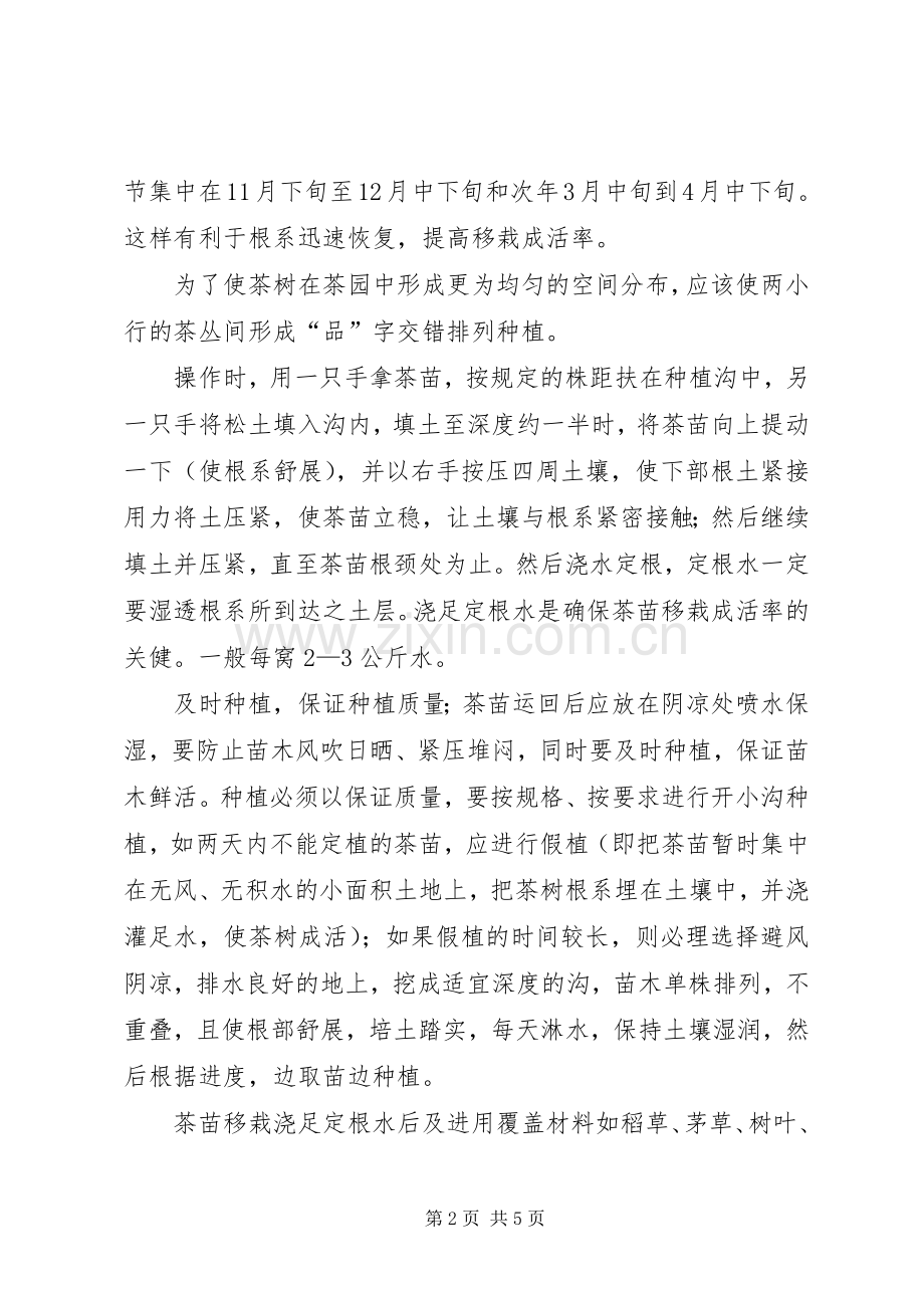 茶苗的栽培管理要点(大睿总结).docx_第2页