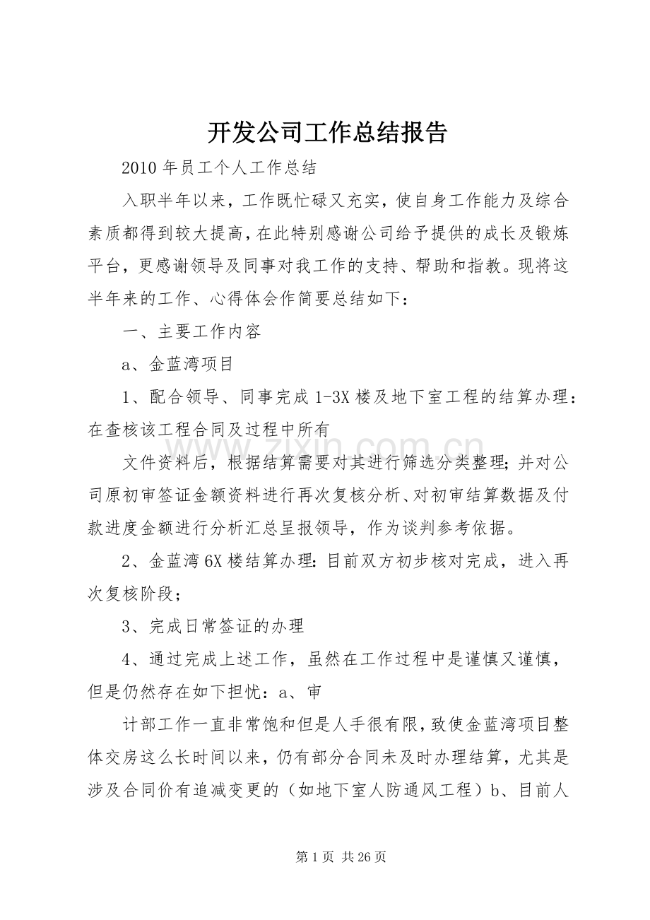 开发公司工作总结报告.docx_第1页