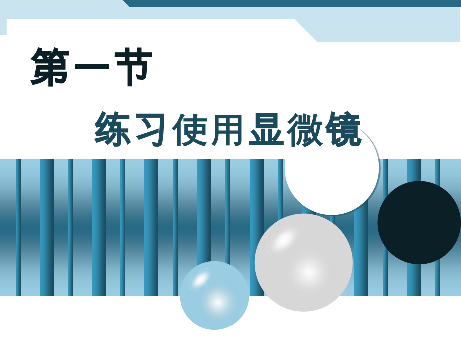 练习使用显微镜 (3).ppt_第1页