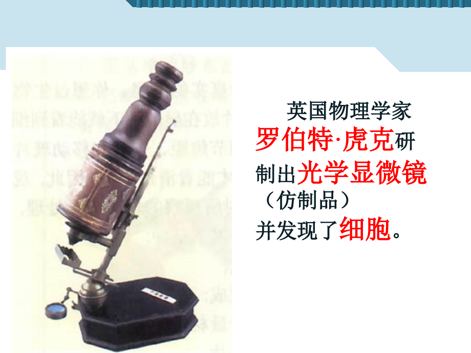 练习使用显微镜 (3).ppt_第2页