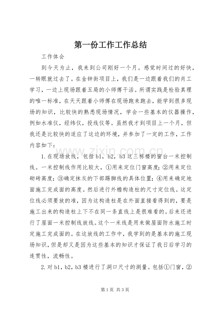 第一份工作工作总结 .docx_第1页