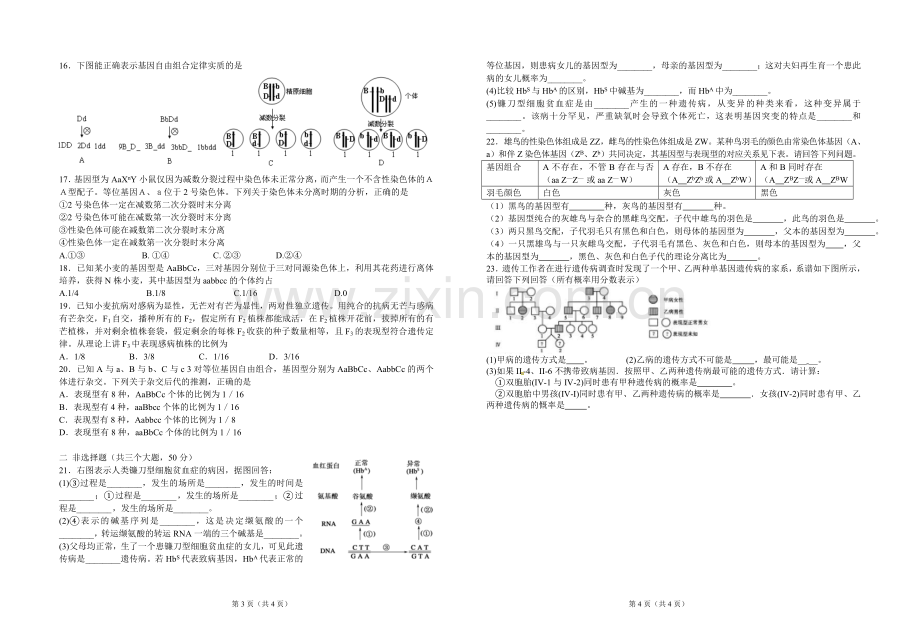 高二生物遗传与变异测试题无答案.doc_第2页