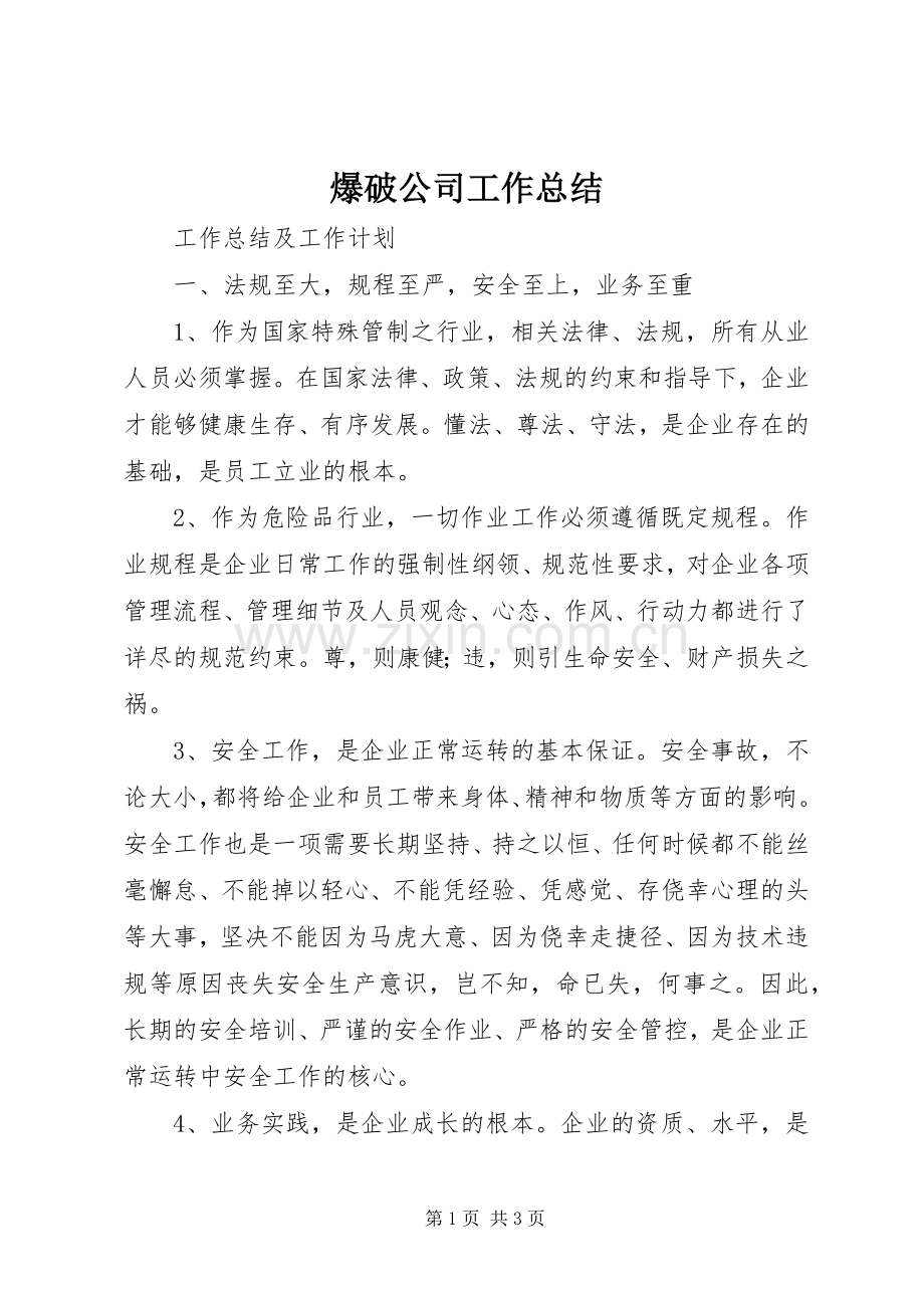 爆破公司工作总结 .docx_第1页