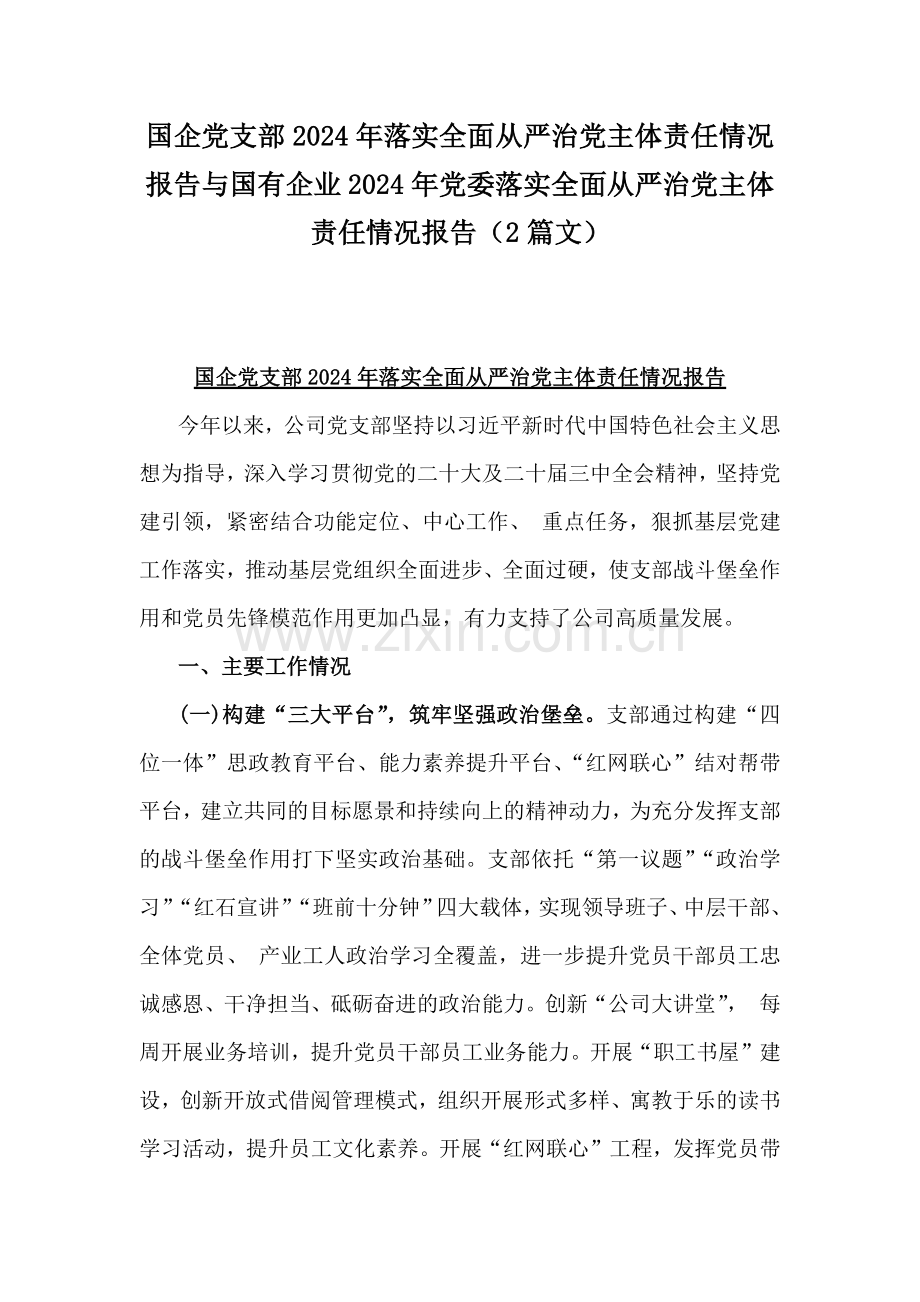 国企党支部2024年落实全面从严治党主体责任情况报告与国有企业2024年党委落实全面从严治党主体责任情况报告（2篇文）.docx_第1页