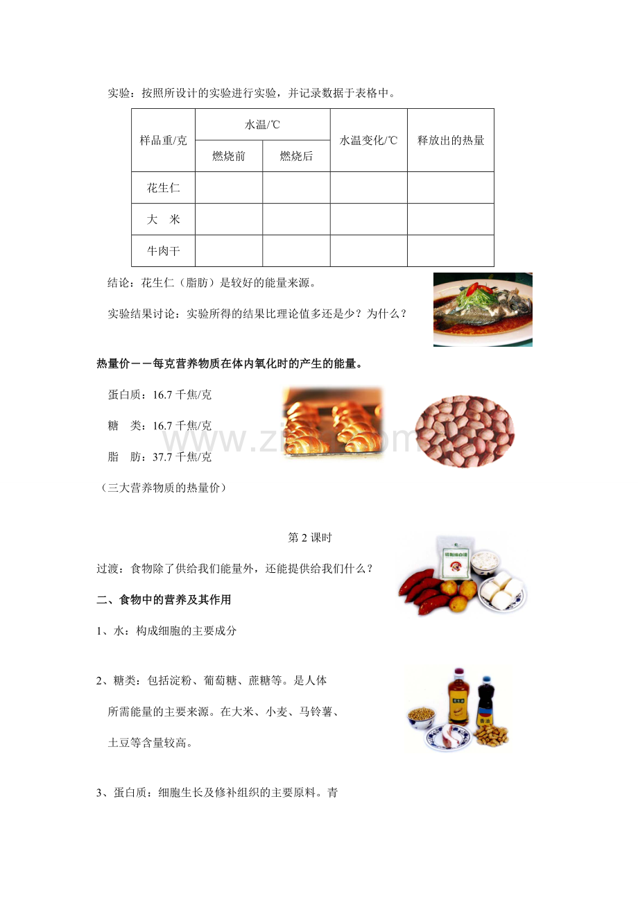九年级科学上册 4.1动物的食物与摄食教案 浙教版.doc_第2页
